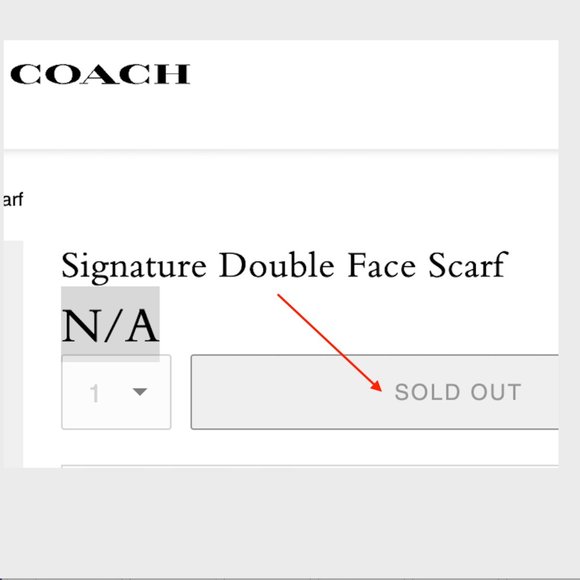 Coach Signature Double Face Soft Wool Scarf Charcoal Gray Logo - Picture 6 of 6